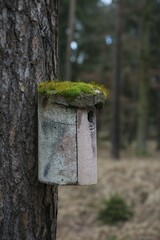 Moss-covered bird house, Hesse, Germany, Europe