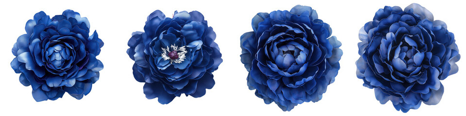 Obraz premium Stunning close up image of a beautifully arranged bouquet of vibrant blue floral blooms including lush peonies and delicate hydrangea flowers on a soft elegant background This romantic