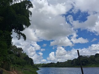 vegetação na margem do rio de contas na bahia