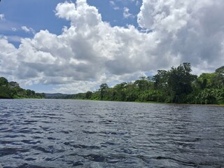 vegetação na margem do rio de contas na bahia