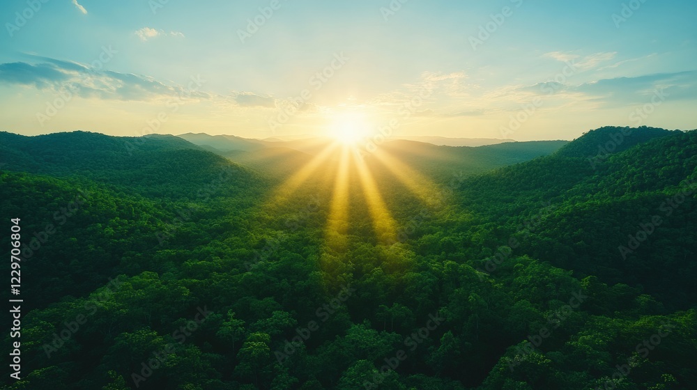 Poster forest landscape with sunlight filtering through trees creating a serene natural environment