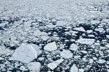 Aerial view of pack ice on Ammassalik Fjord, East Greenland, Greenland, North America