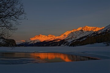 Alpine glow, frozen lake Silser See with Bernina group, peaks Piz Rosatsch, Piz Surlej and Piz Corvatsch, Maloja, Upper Engadin, Canton Graubünden, Switzerland, Europe