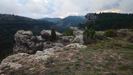 Tinença de Benifassà