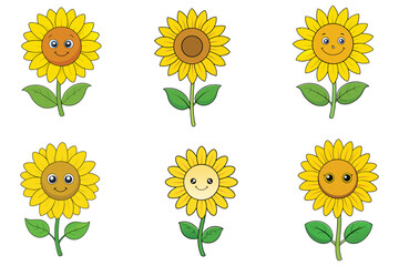 a sunflower isolated vector on white background