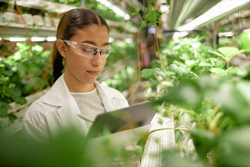 Young woman wearing protective eyewear studying plants in indoor cultivation environment with multi-level shelving under artificial lighting
