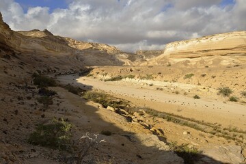 Limestone canyon of Wadi Shuwaymiyah, Dhofar, Oman, Asia