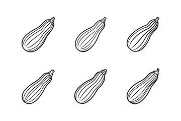 zucchini line art vector illustration