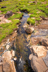 Fang hot spring. A scenic view of a natural hot spring emitting steam in a lush tropical forest. The vibrant greenery, blue sky, and traditional wooden create a tranquil and refreshing atmosphere
