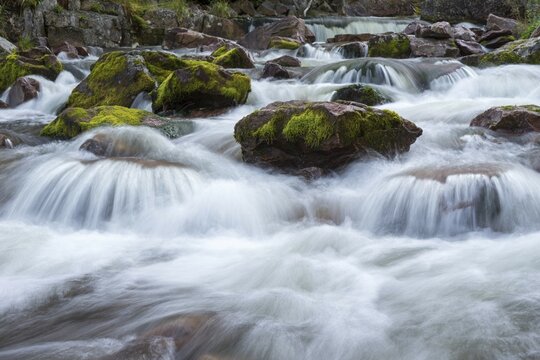 Rapids in the river Njup&aring;n, Fulufj&auml;llet National Park, Dalarnas l&auml;n, Dalarna County, Sweden, Europe
