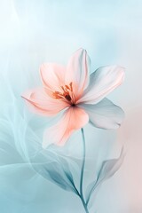 Obraz premium A flower with a pink center and white petals. The flower is surrounded by a blue background