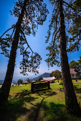 A camping ground under pine trees lined up amidst a green forest under a blue sky inviting you to sit and relax there. The cool, refreshing air is filled with the scent of nature, the green forest.