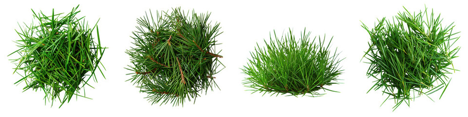 Closeup of a Clump of Fresh Green Grass Blades Forming a Natural Organic Background or Texture