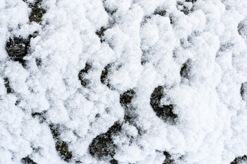 Close-up of snow-covered surface creating a textured winter landscape.