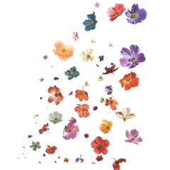 Colorful Flower Petals Falling in a Graceful Cascade