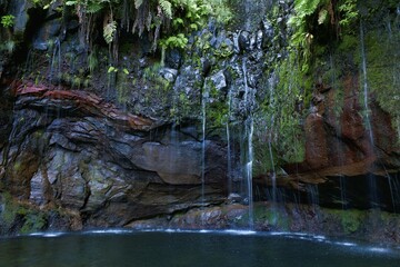 Rock face overgrown with ferns (Polypodiopsida, Filicopsida) at the waterfall 25 springs, Fontes,...