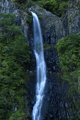 Cascata do Risco, Risco waterfall, in Laurisilva laurel forest, Rabacal nature reserve, Madeira Island, Portugal, Europe