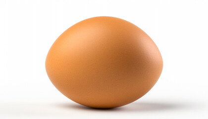 egg isolated on white