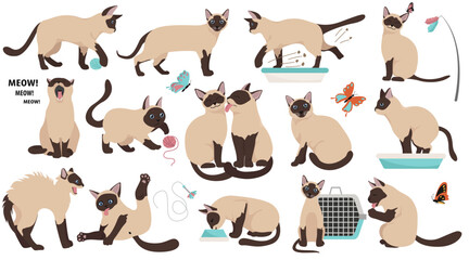 Cartoon cat characters collection. Different cat`s poses, yoga and emotions set. Flat color simple style design. Vector illustration © a7880ss
