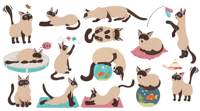 Cartoon cat characters collection. Different cat`s poses, yoga and emotions set. Flat color simple style design. Vector illustration