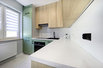 Kuchnia w nowoczesnym apartamencie w kolorze seledynowym i jasno brązowym