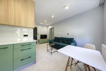 Kuchnia w nowoczesnym apartamencie w kolorze seledynowym i jasno brązowym