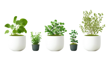 Various types of indoor plants in modern white pots displayed on a clean white surface with green elements