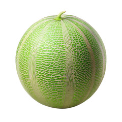 Whole Green Melon Isolated on Transparent Background.