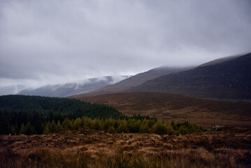 A scenic view of the Wicklow Mountains in Ireland, covered in mist and surrounded by lush forests and rolling hills. The dramatic sky and untouched nature create a tranquil and atmospheric landscape.