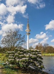 Fototapeta premium Lake Parksee, Planten un Blomen, at back the Hamburger television tower, Heinrich-Hertz-Turm, Tele-Michel, Telemichel, Hamburg, Germany, Europe