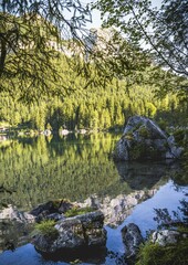Fototapete bei efototapeten.de bestellen   