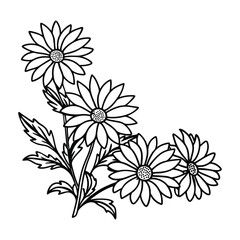 daisy floral vector line art 