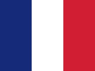 Official national flag of France
