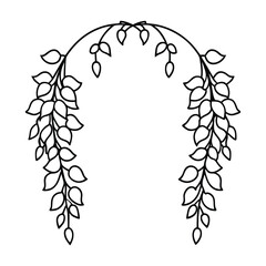 wisteria hanging floral line art 
