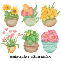 Watercolor Flowers in Pots and Cups Clipart -  Hand-Painted Sunflower, Tulip, Daffodil, and Begonia Illustrations