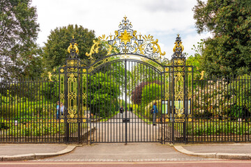 Fototapety na wymiar - Fototapeta24.pl