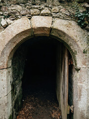A dim stone archway leading into darkness within an abandoned castle, surrounded by crumbling...