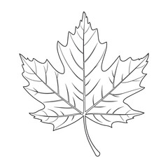 Fototapeta premium illustration of a leaf line art coloring page 