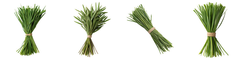 Fototapeta premium Bundles of Fresh Green Herbs for Cooking and Seasoning