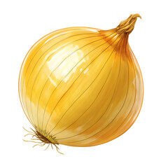 onion isolated on on Transparent Background