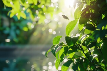 Obraz premium Bird flying through green leaves with bright sunlight in a natural environment
