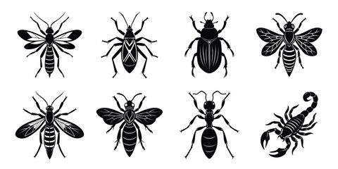 Set of insects silhouettes. Vector illustrations poisonous insects isolated on white background © MarufIslam