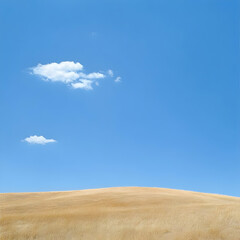 Golden field, clear sky, single cloud, summer