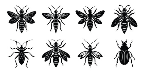 Set of insects silhouettes. Vector illustrations poisonous insects isolated on white background