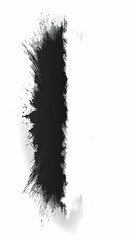 Obraz premium Black ink splash, white background. Design element