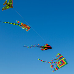 colorful kites fly pushed by the wind in a clear sky