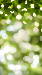 Obraz premium Sunlight through leaves, bokeh effect, nature background, spring scene