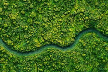 A picturesque river meanders through a vibrant green forest