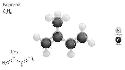 Molecule: Isoprene. Molecular structure. Formula: C5H8. Chemical model: Ball and stick. White background. 3D illustration.