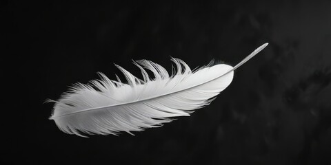 One ethereal white feather gently drifting in the air with black background, minimalism, harmony, spiritual, airy © Wachiraporn